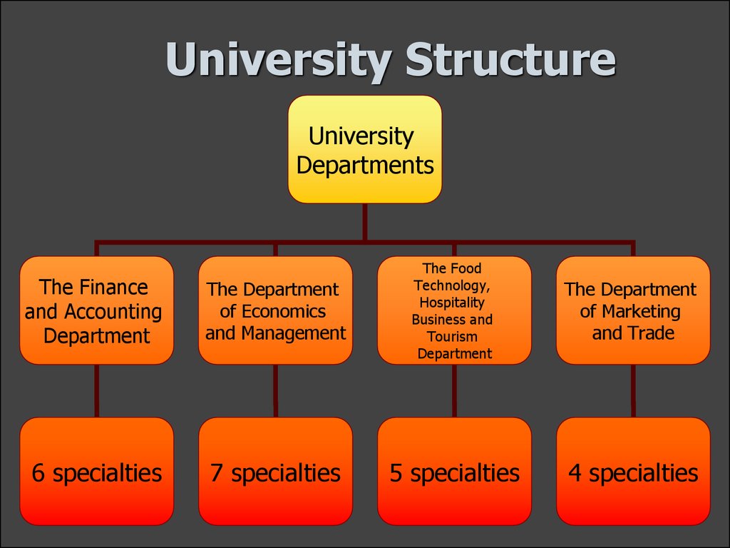University Structure