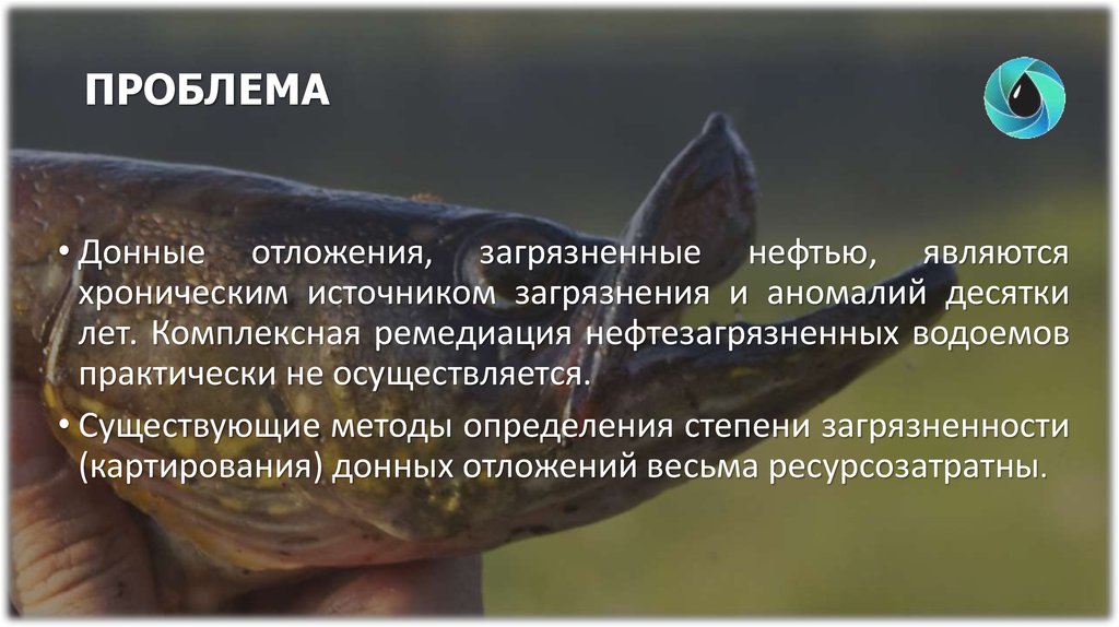 ПРОБЛЕМА