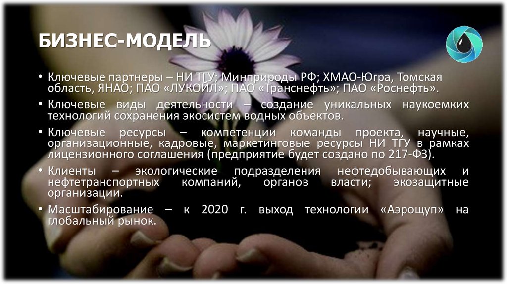 БИЗНЕС-МОДЕЛЬ