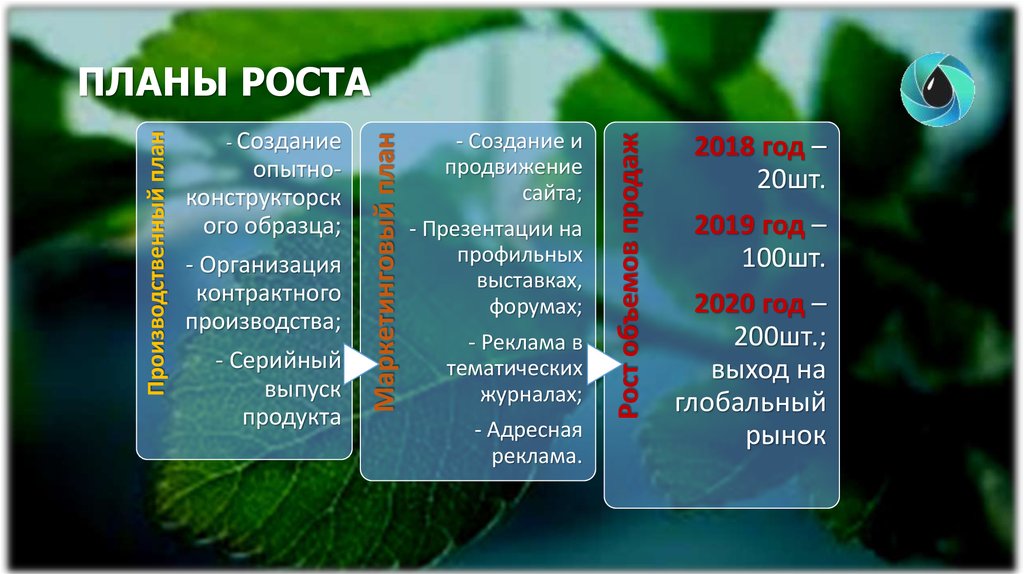 ПЛАНЫ РОСТА