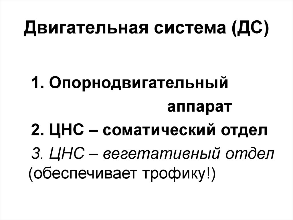 Система движений. Механизм поддержания равновесия тела. Саморегуляторные механизмы поддержания равновесия тела.