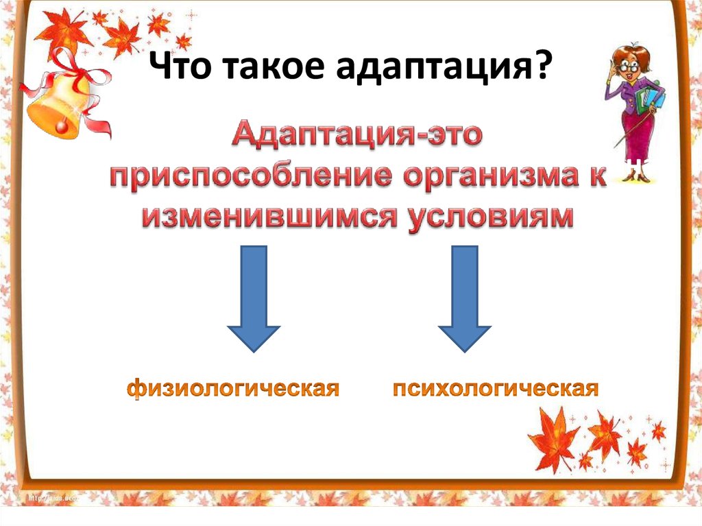 Что такое адаптация. Адаптироваться. Адаптация картинки. Адаптация в кулинарии это. Адаптируйтесь.