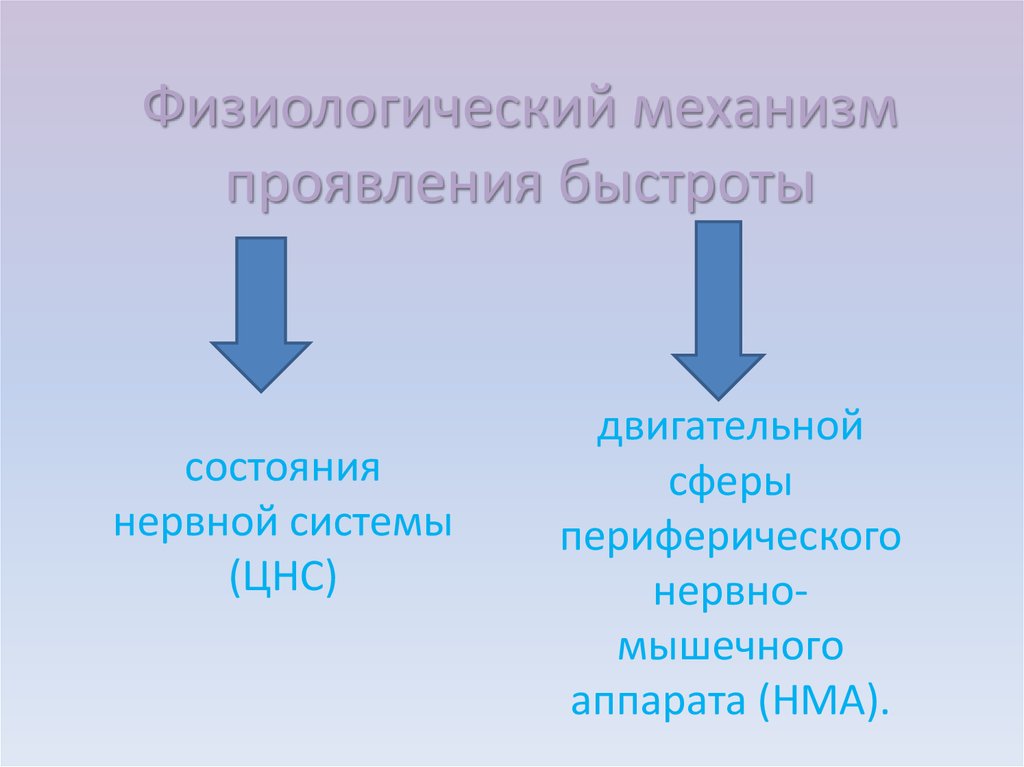 Механизм проявления. Физиологические механизмы развития быстроты. Физиологические механизмы развития двигательных качеств- быстроты. Физиологически механизмы проявления быстроты. Физиологическая характеристика быстроты.