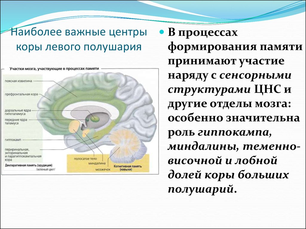 Значение памяти