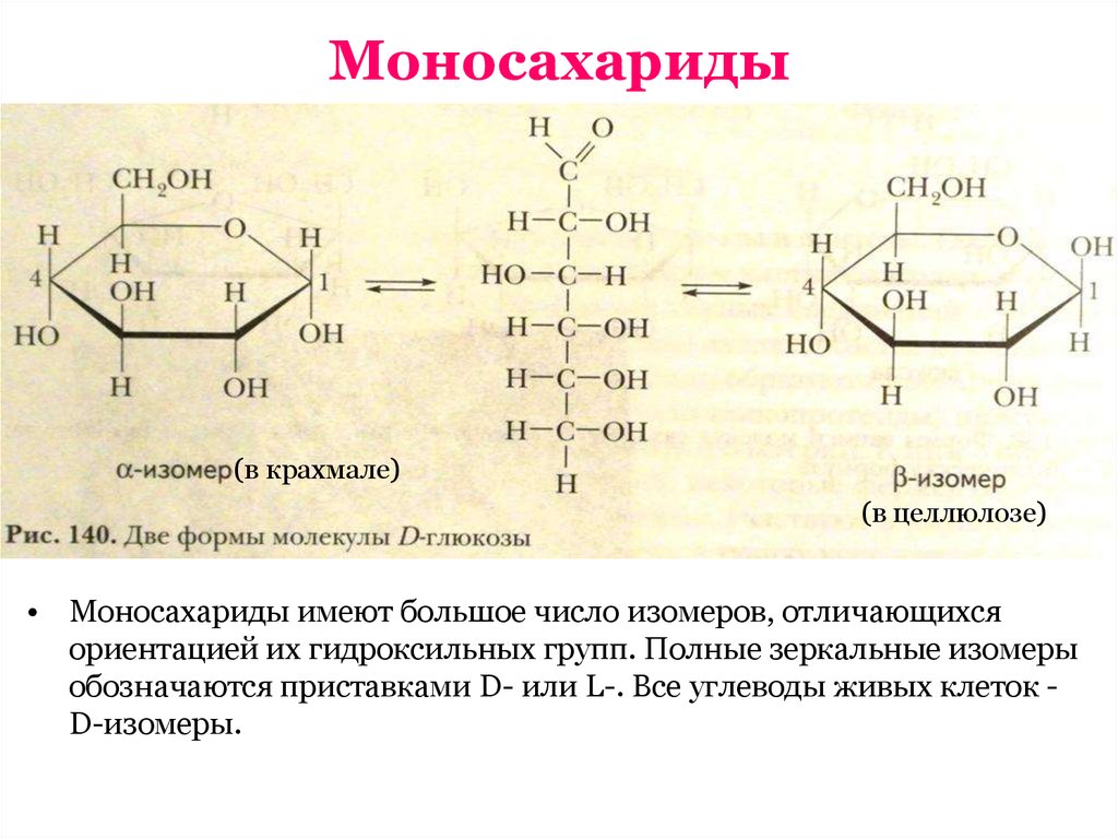 Гидроксильные группы фруктозы. Моносахариды формулы стр 2. Углеводы моносахариды Глюкоза строение. Моносахариды Глюкоза формула. Глюкоза моносахарид строение.
