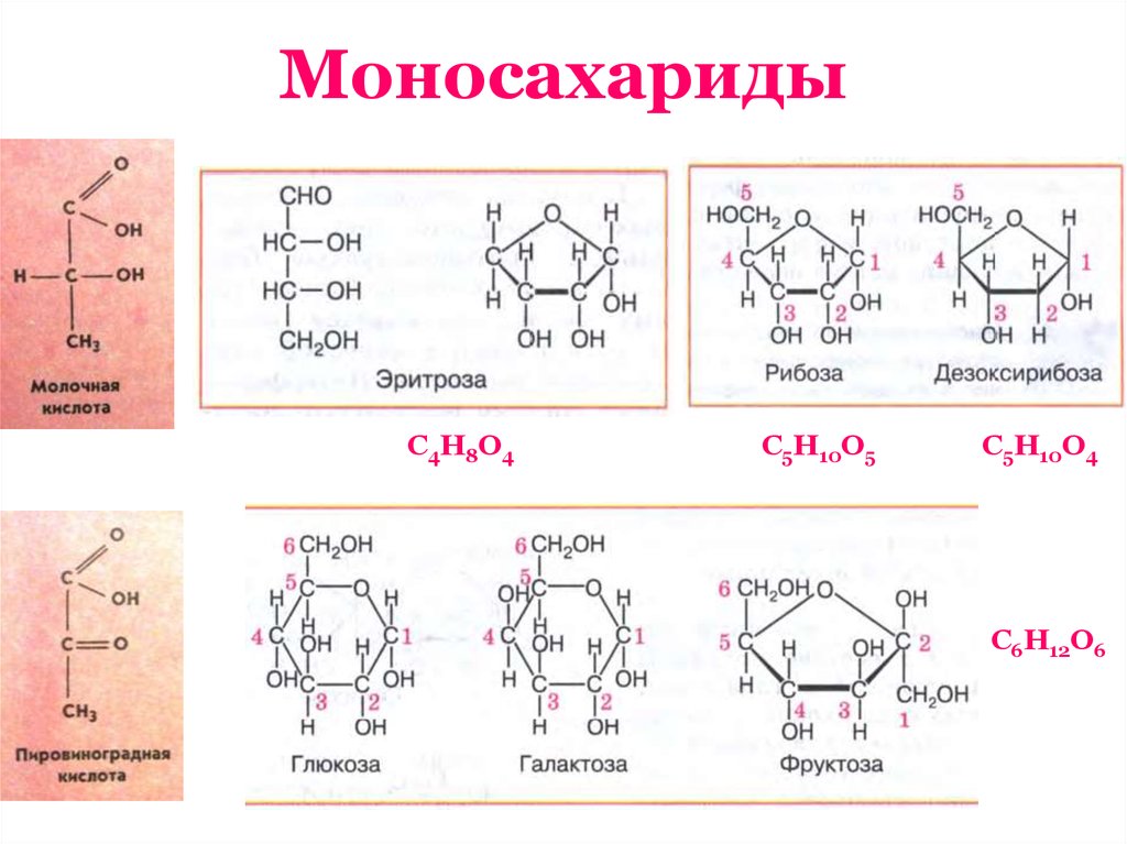 Глюкоза галактоза рибоза. Структурные формулы моносахаридов. Формулы основных моносахаридов. Моносахариды Глюкоза формула. Строение моносахаридов структурная формула.