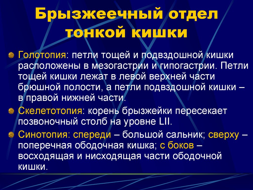 Функции отделов тонкой кишки