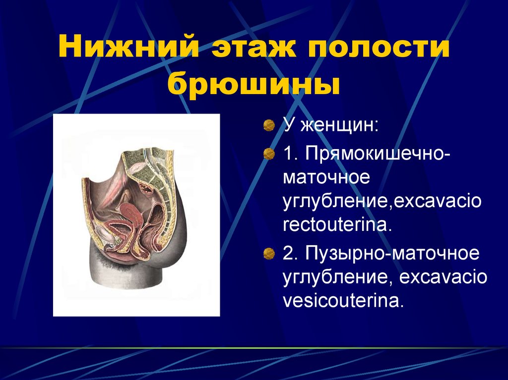 Полость применение. Прямокишечно-маточное углубление. Пузырно маточное углубление. Нижний этаж полости брюшины.