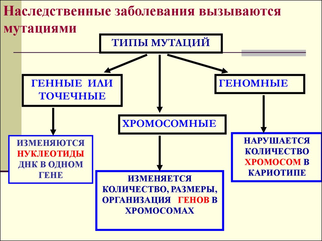 Проект по биологии наследственные заболевания