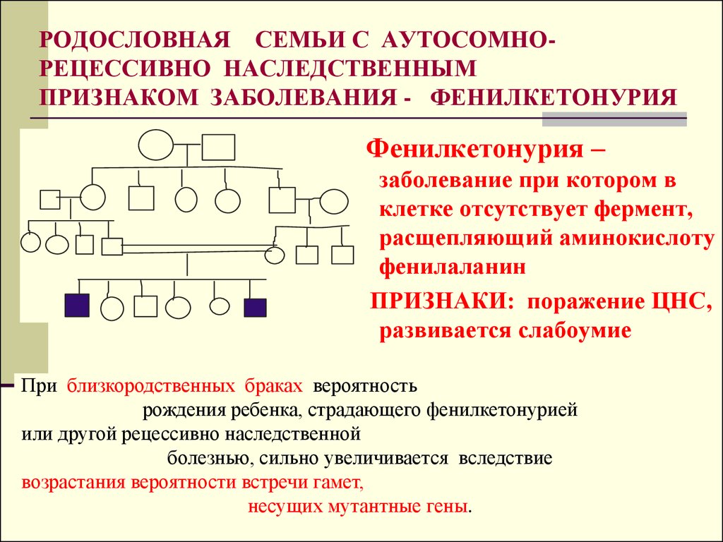 Аутосомно рецессивные заболевания презентация