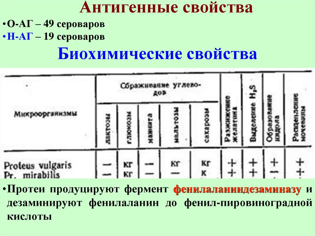 Биохимические свойства микроорганизмов