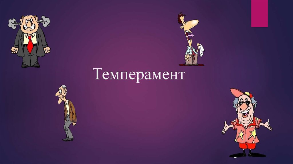 Темперамент