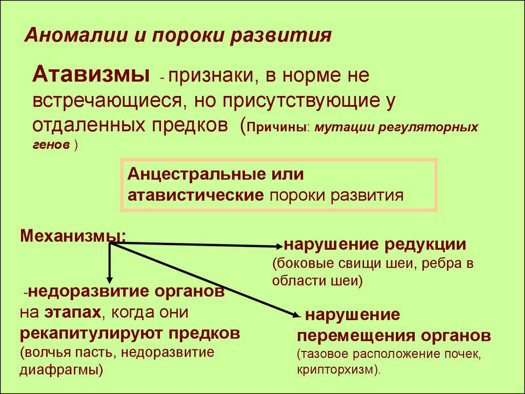 Механизм предков. Атавистические пороки развития. Атавистические врожденные пороки развития.. Механизмы пороков развития.