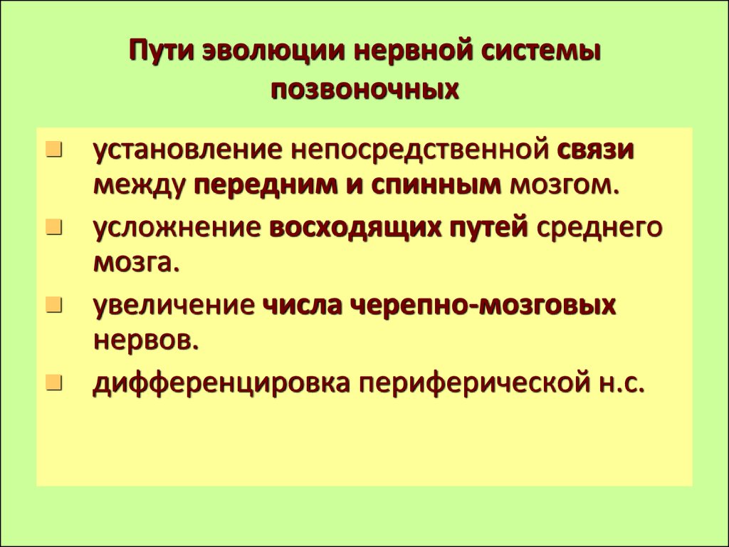 Пути эволюции схема