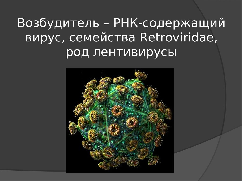 Какой вирус содержит рнк. Микобактерии РНК вируса. РНК содержащие вирусы семейства. Оболочечные вирусы семейства. Кошачий вирус иммунодефицита.