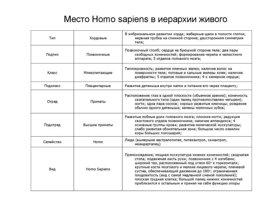 Положение человека в системе животного мира презентация 11 класс биология