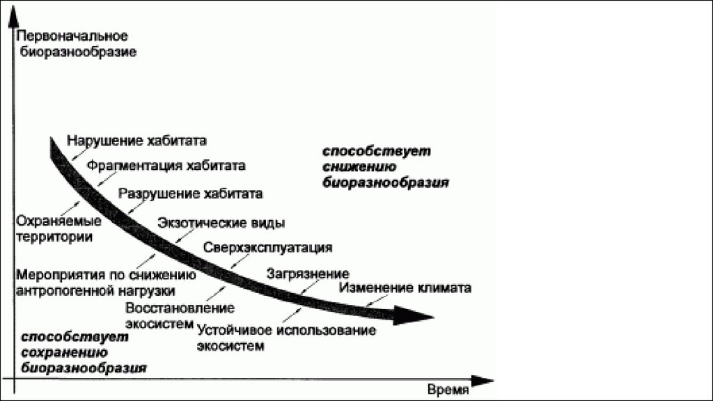 Потеря биологического разнообразия презентация