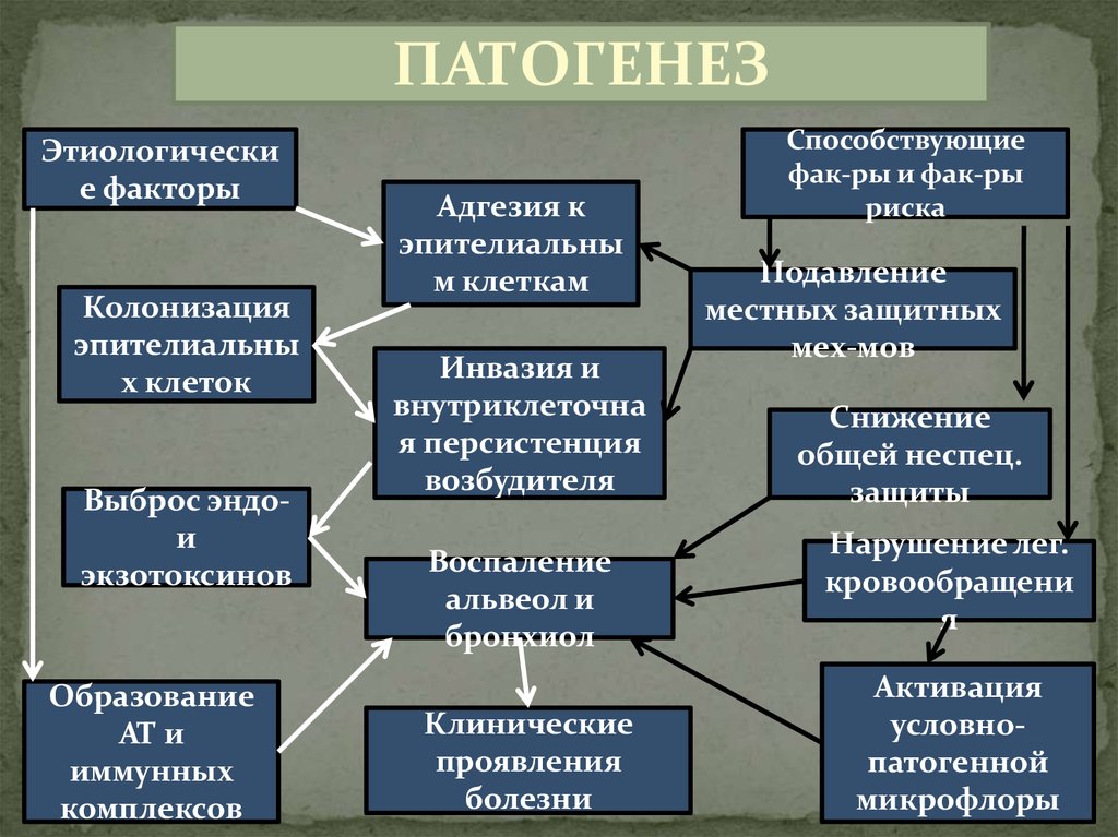 Пневмонии классификация этиология патогенез диагностика лечение. Этиология пневмонии. Этиопатогенез пневмонии. Этиология пневмонии внутриклеточные. Персистенция возбудителя.