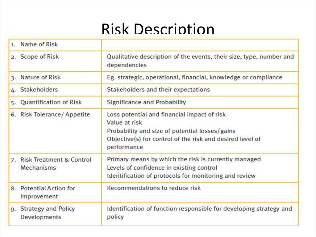 Risk Manager Description Virtalternative