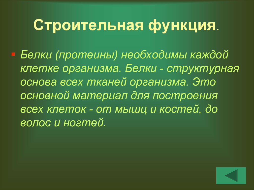 Строительный белок. Строительная функция белков. Строительная функция. Белки строительная функция. Строительная функция Белко.