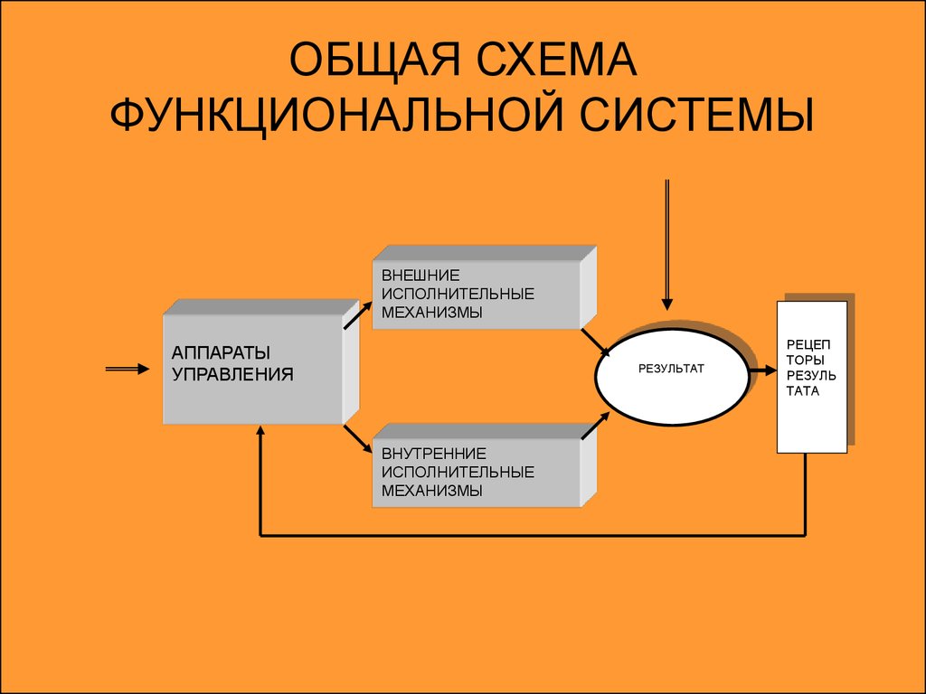 Обще функциональные. Общая схема функциональной системы. Понятие о функциональной системе. Схема функциональной системы саморегуляции гомеостаза. Схема функционального элемента физиология.