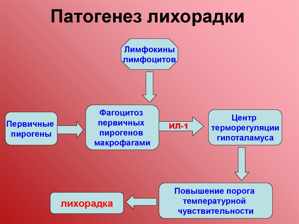 Кома неясного генеза карта вызова смп