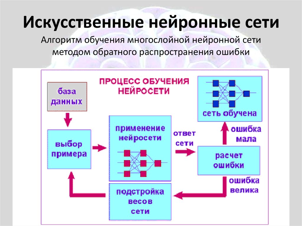 Презентация с помощью нейросети. Алгоритм нейронной сети. Алгоритм обучения нейронной сети. Алгоритм работы нейронной сети. Процесс обучения нейросети.