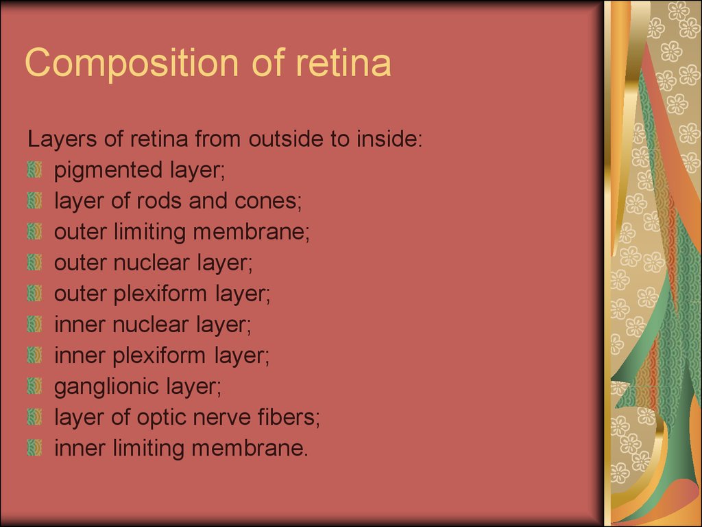 Composition of retina