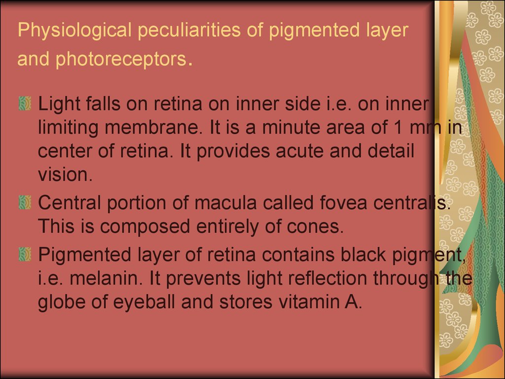 Physiological peculiarities of pigmented layer and photoreceptors.