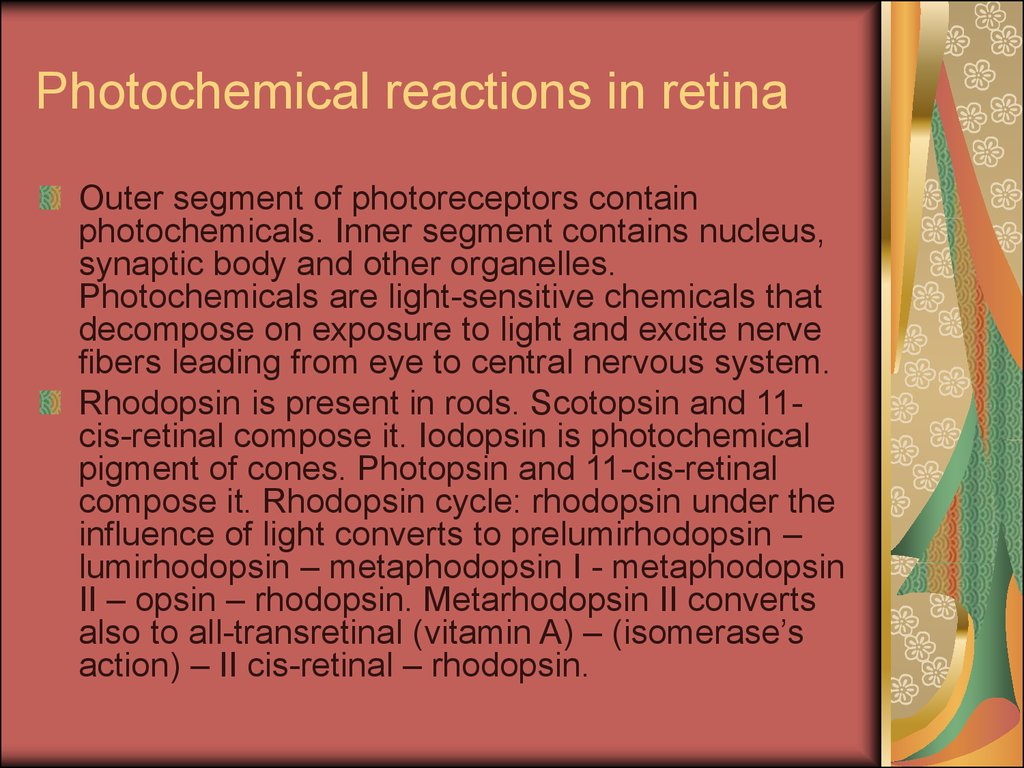 Photochemical reactions in retina