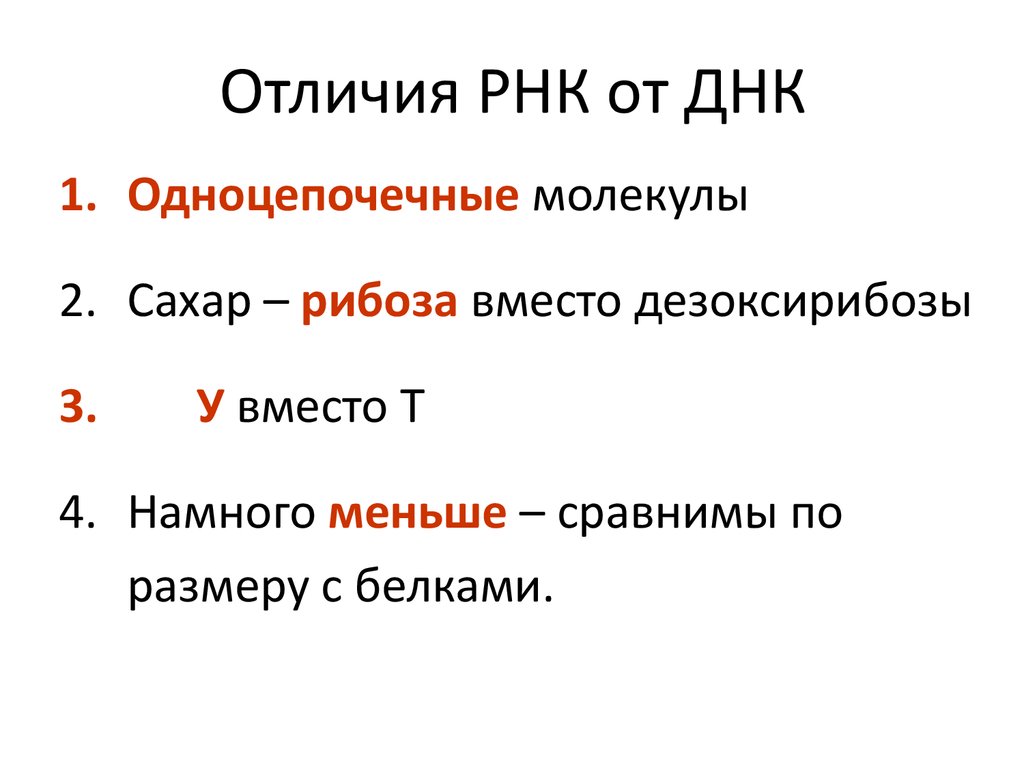 Различие рнк