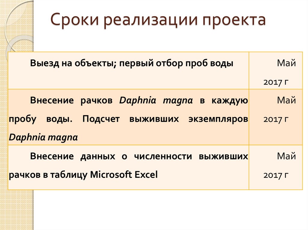 Период реализации проекта