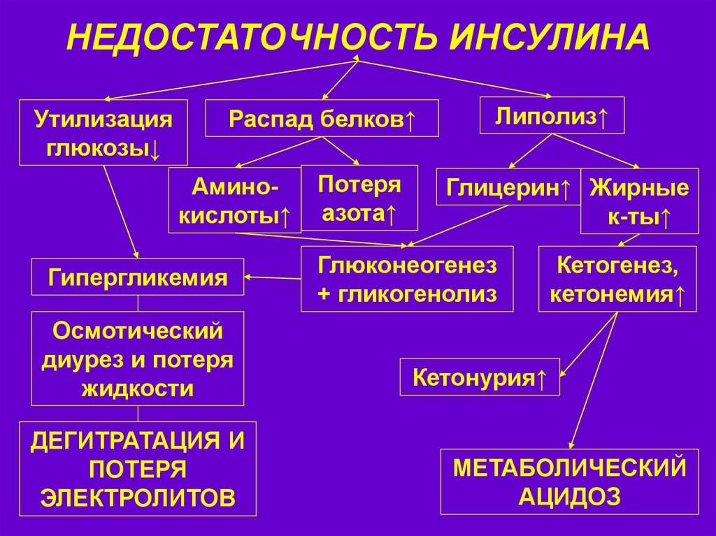 Кетонурия при сахарном диабете. Распад инсулина. Недостаточность инсулина. Утилизация инсулина. Утилизация Глюкозы инсулином.