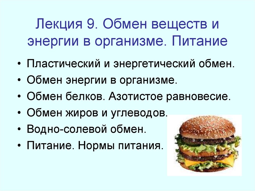 Обмен веществ питание. Лекция обмен веществом и энергией. Обмен веществ и питание. Обмен веществ нормы питания. Пластическая и энергетическая роль белков жиров и углеводов.