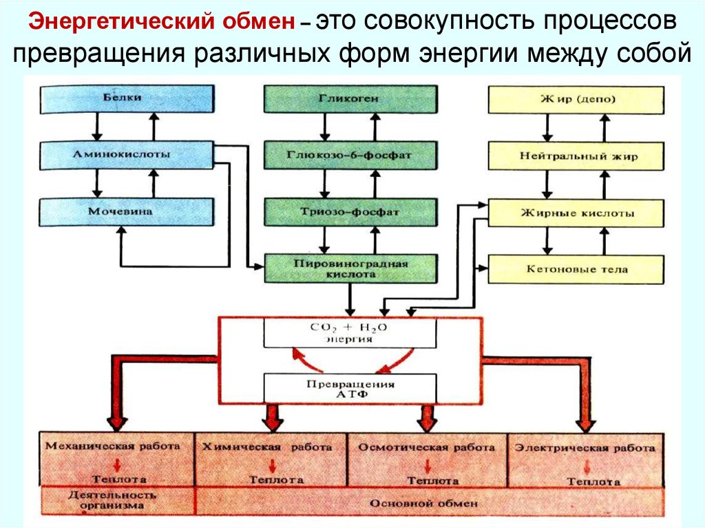 На каком превращение форм энергии основано