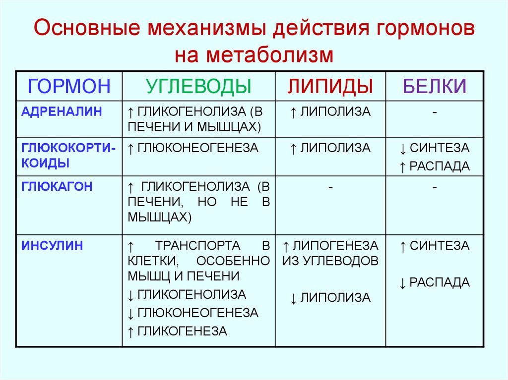 Каковы основные механизмы. Гормоны регулирующие обмен веществ. Основные гормоны регуляторы метаболизма. Гормоны регулирующие обмен веществ при приеме пищи. Гормональная регуляция обмена веществ биохимия.