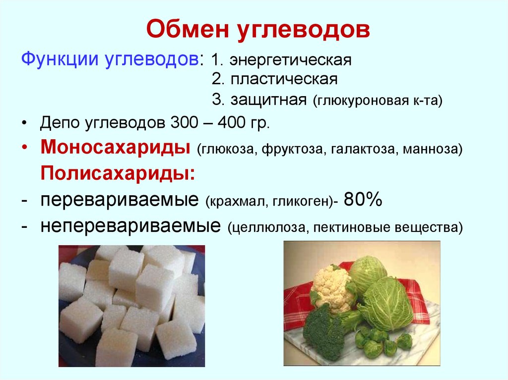 Углеводы конечный продукт