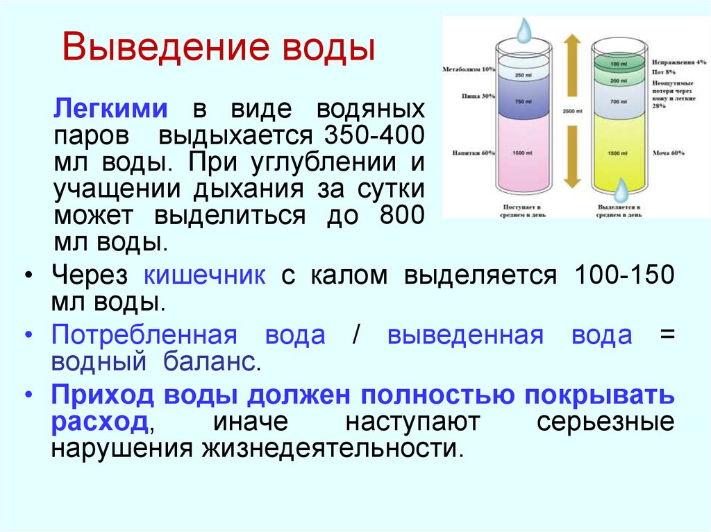 Жидкость будет находиться в. Водный баланс в организме норма. Вывод жидкости из легких. Лекарства для выведения воды из легких.