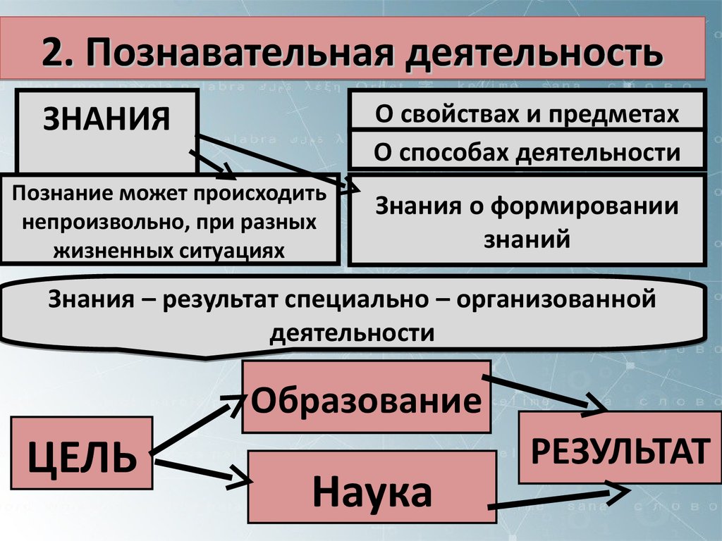 Виды познавательной деятельности