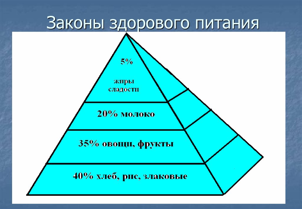 Законы питания. Законы здорового питания. Основные законы питания. Перечислите законы питания. Основные законы питания кратко.