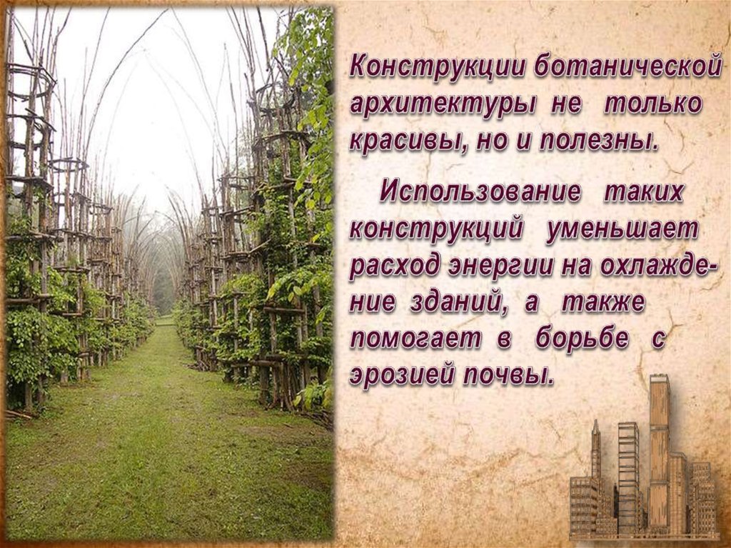 Конструкции ботанической архитектуры не только красивы, но и полезны. Использование таких конструкций уменьшает расход энергии