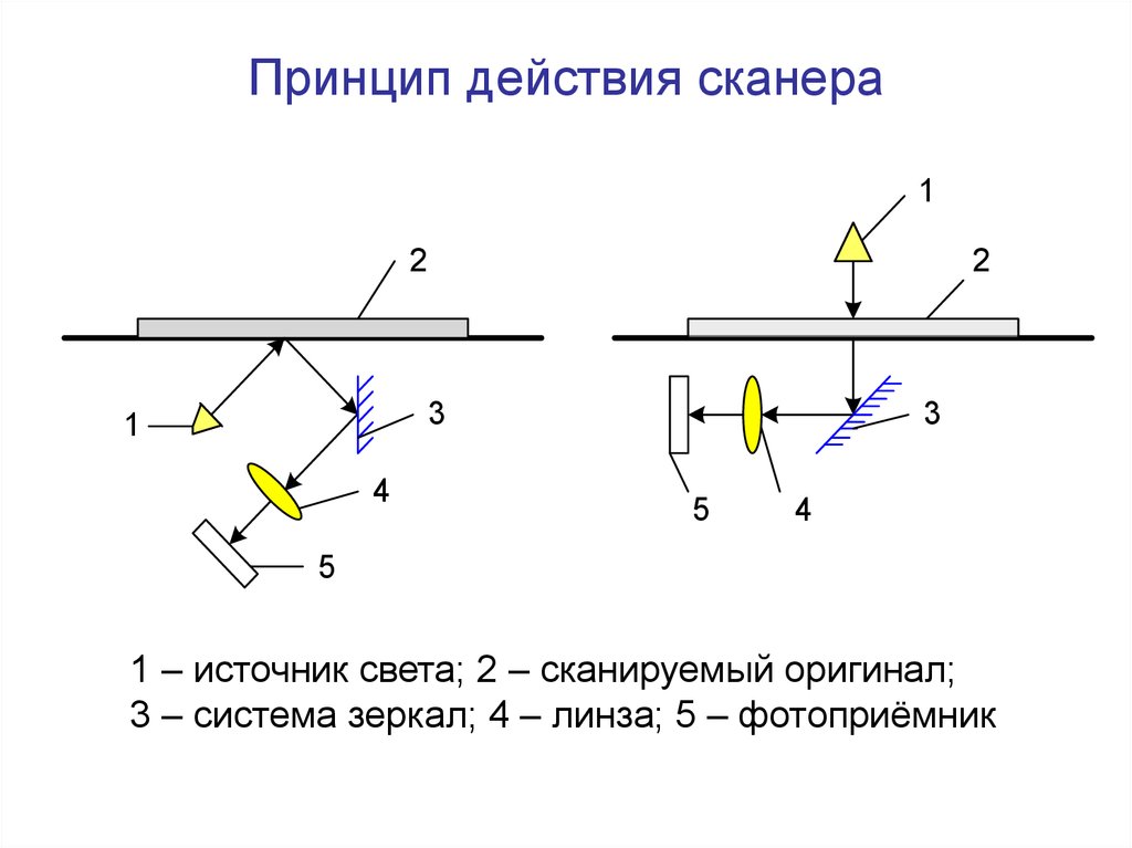 Принцип работы. Принцип работы сканера схема. Принцип работы планшетного сканера схема. Принцип работы планшетного сканера. Принцип сканирования планшетного сканера.