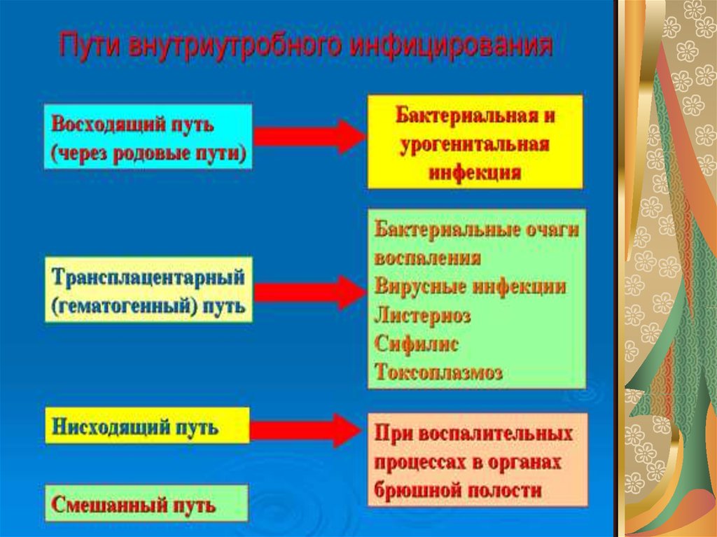 Какой фактор в большей степени определяет клиническую картину при внутриутробных инфекциях