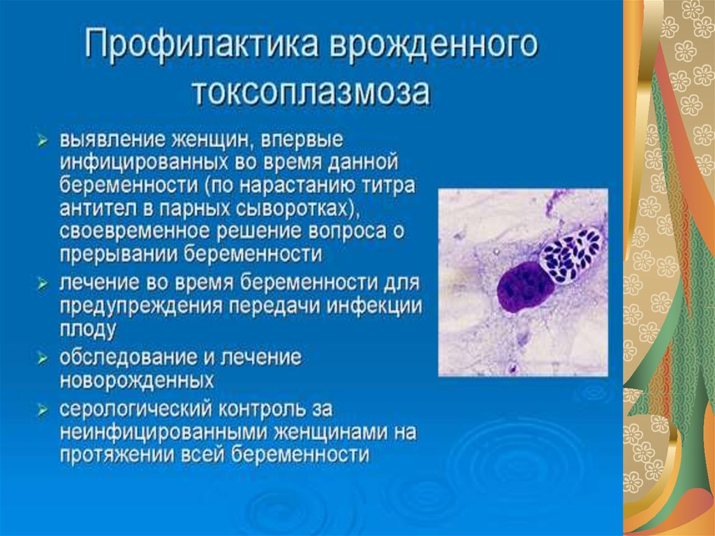 Токсоплазмоз презентация инфекционные болезни