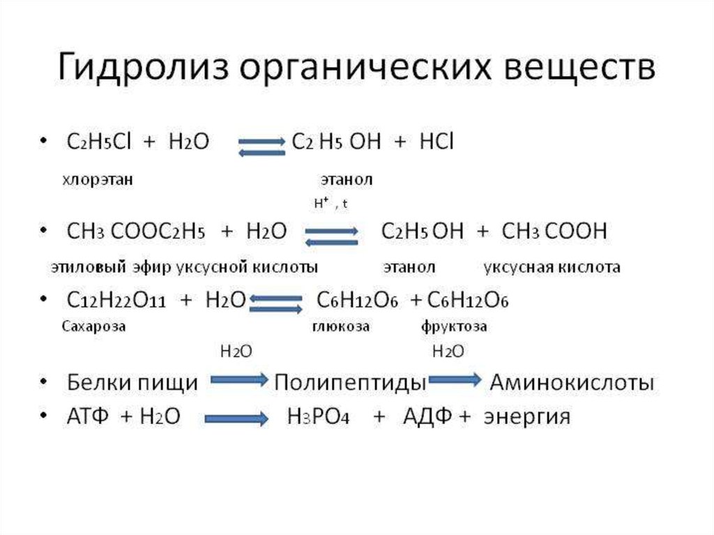 Презентация гидролиз органических веществ