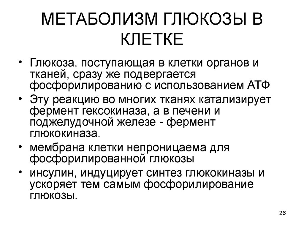 Энергетический обмен глюкозы. Метаболизм Глюкозы в клетке. Метаболизм клетки. Этапы метаболизма Глюкозы в клетках.