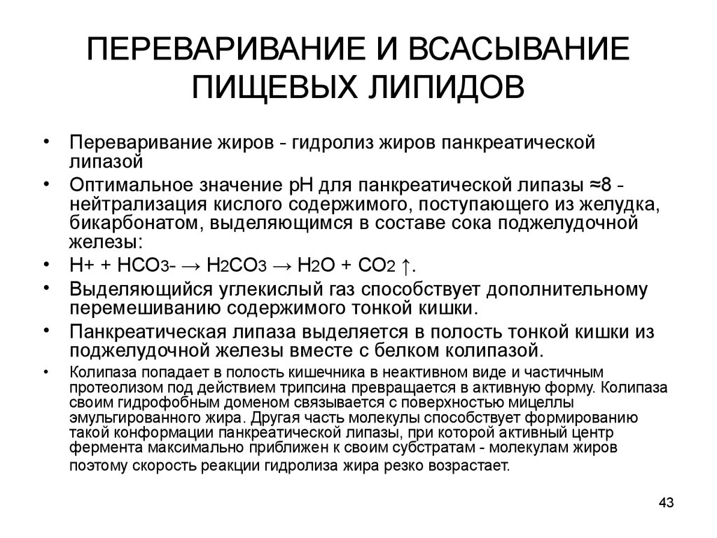 Переваривание липидов в желудке. Переваривание и всасывание липидов в ЖКТ. Переваривание и всасывание липидов в ДКТ. Переваривание и всасывание липидов схема. Переваривание липидов биохимия.