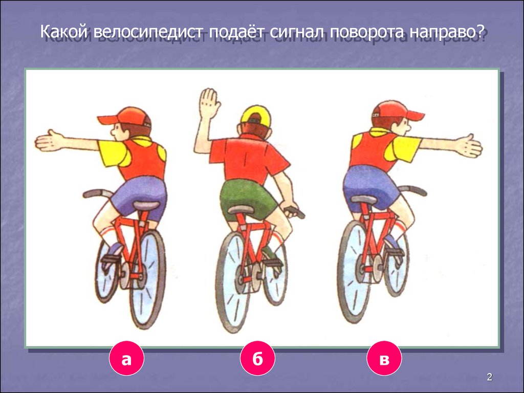 Правила велосипедиста презентация