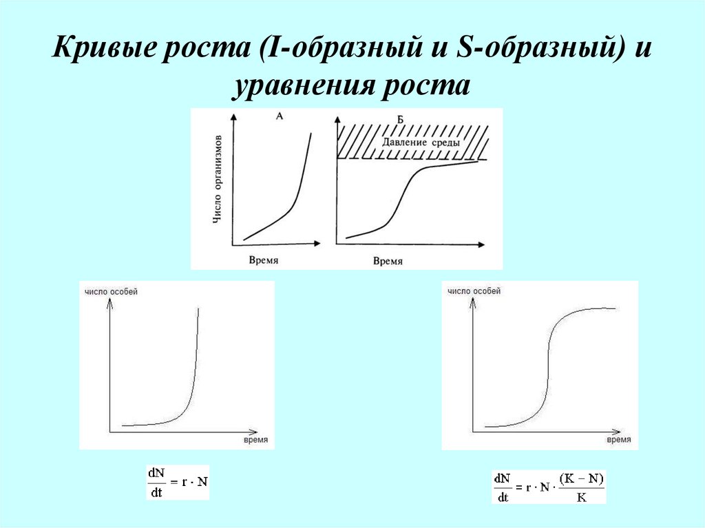 Кривая роста. Кривые роста. J S образные кривые роста. К классу s-образных кривых относится:. S-образную кривую роста.