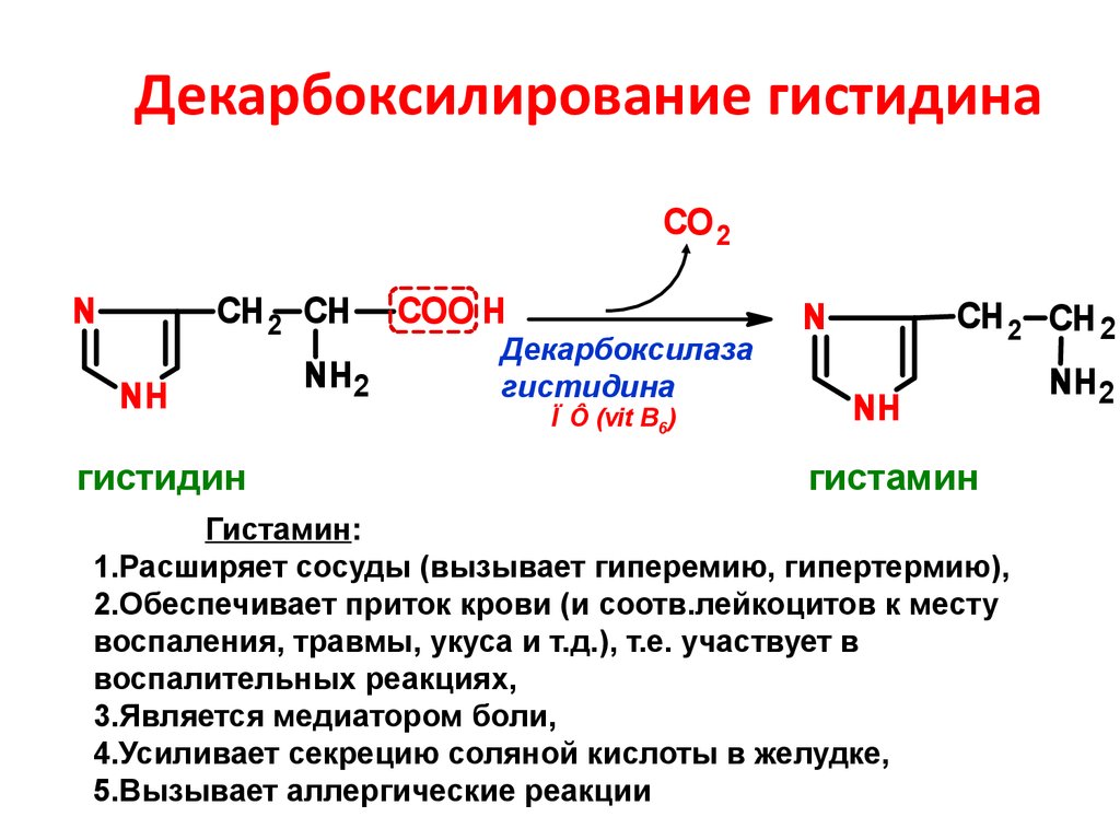 Реакция in vivo. Продукт декарбоксилирования гистидина. Реакция декарбоксилирования аминокислоты гистидина. Схема реакции декарбоксилированной аминокислоты. Общая схема декарбоксилирования аминокислот.